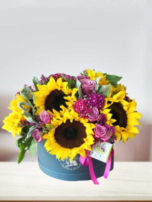 Modelo-Girasole--web491--yefeleags