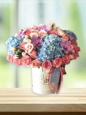 cielo-web496-yefele-ags