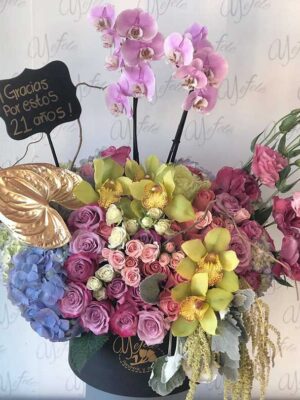 flores modelo-italia