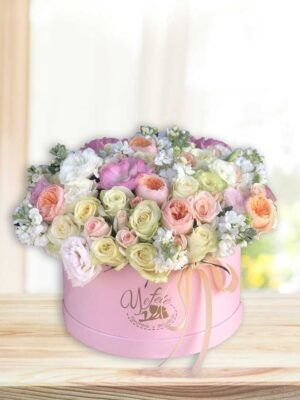 renata-487web-yefele-ags