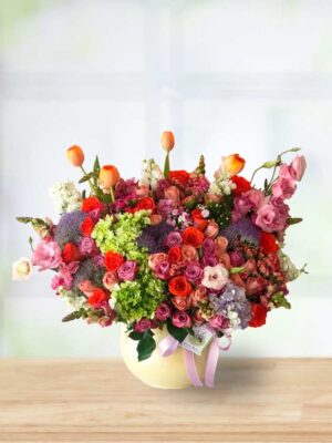 color-full-web503-yefele-ags